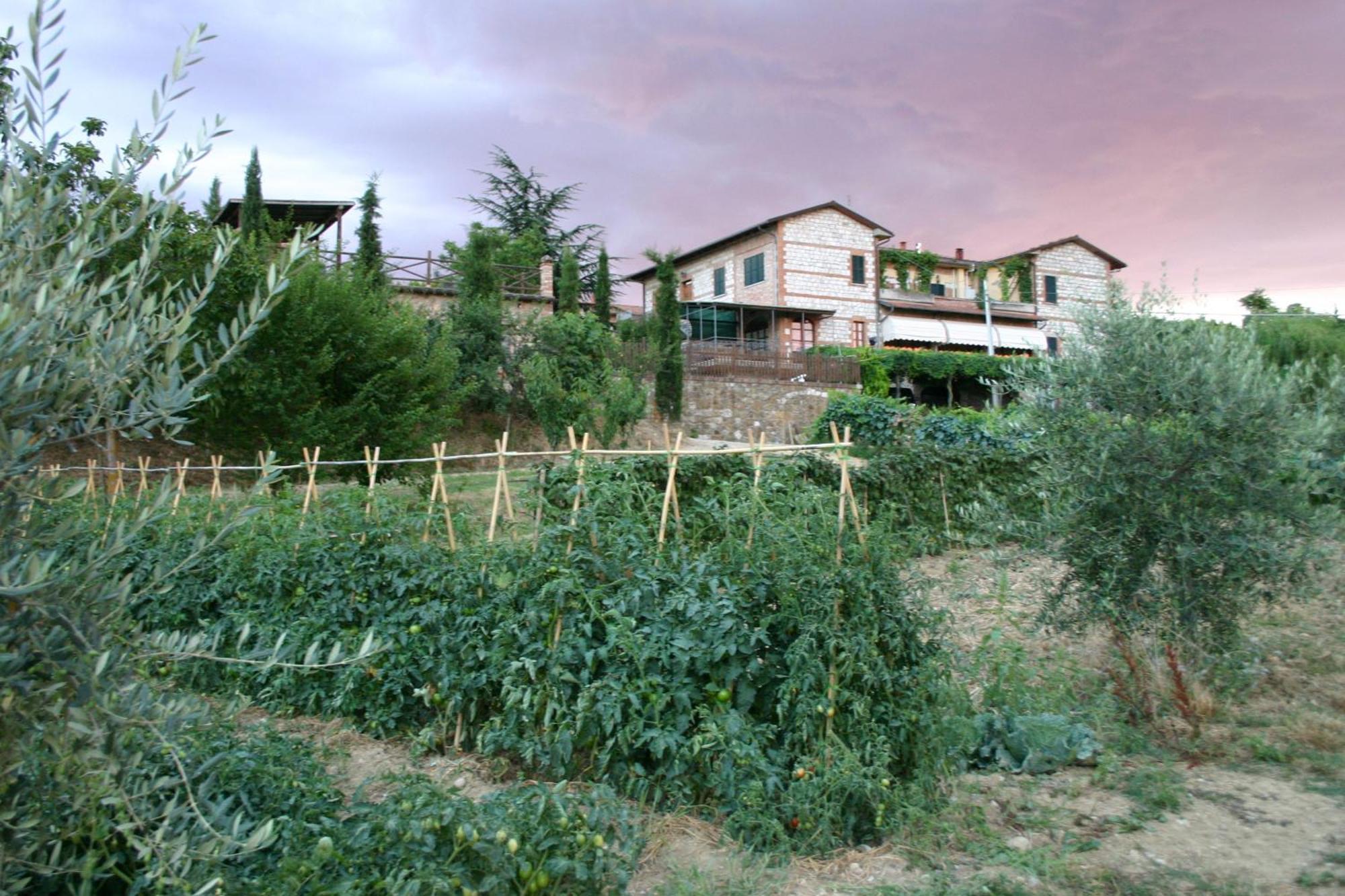 Agriturismo La Pietriccia Chianciano Terme Buitenkant foto