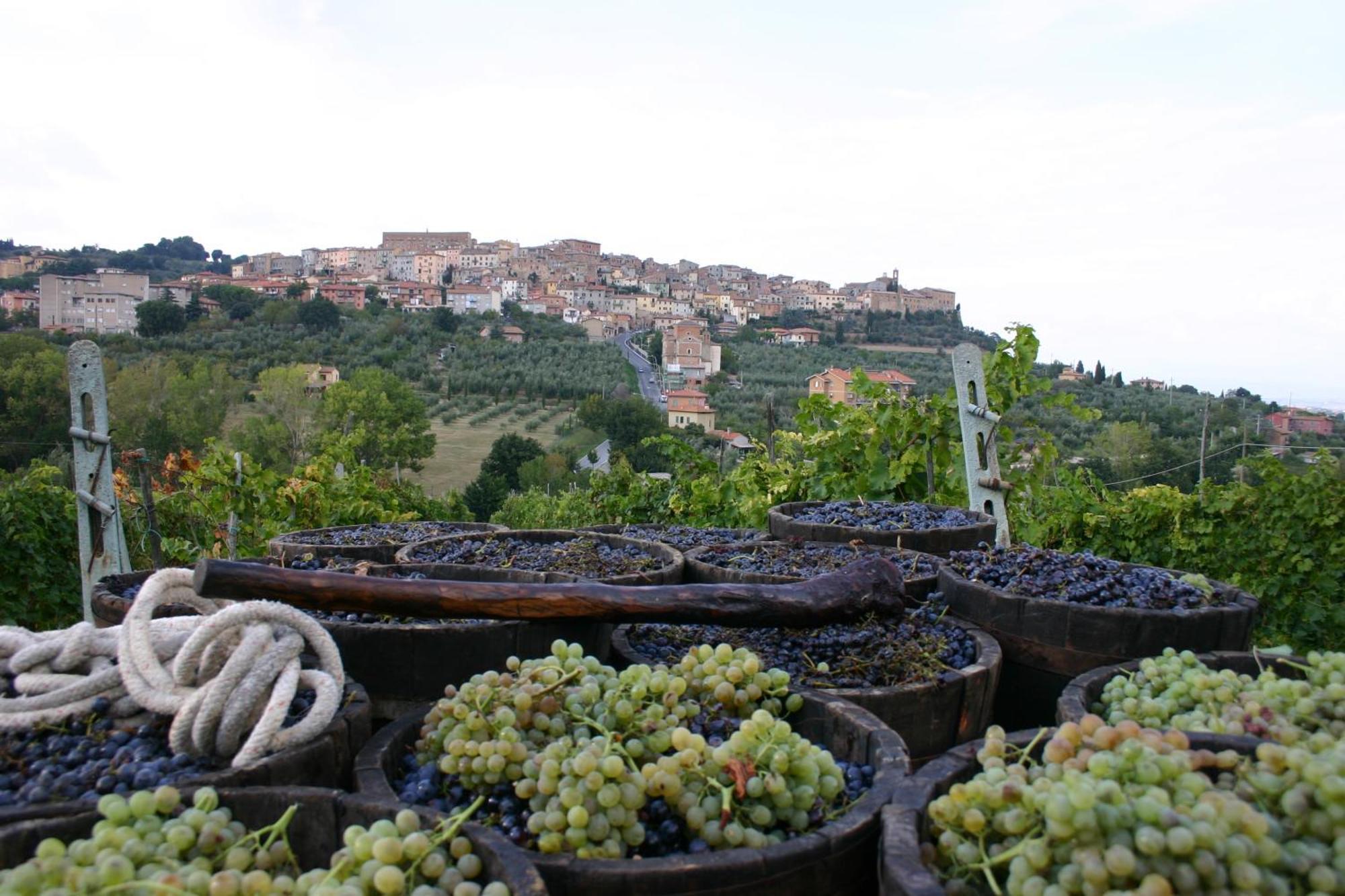 Agriturismo La Pietriccia Chianciano Terme Buitenkant foto